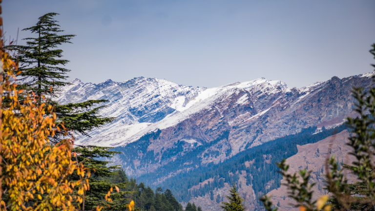 Ayurveda: Understanding the Five Elements and Three Doshas