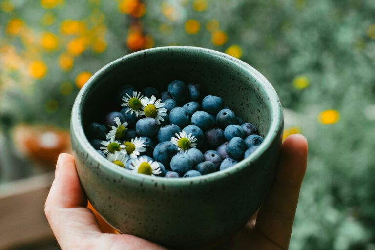 The Prana of Food: Yogic Nutrition