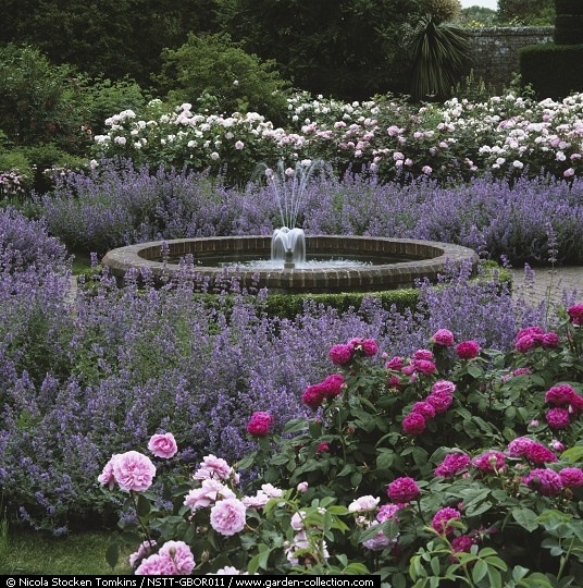 Profile photo of Jen Q