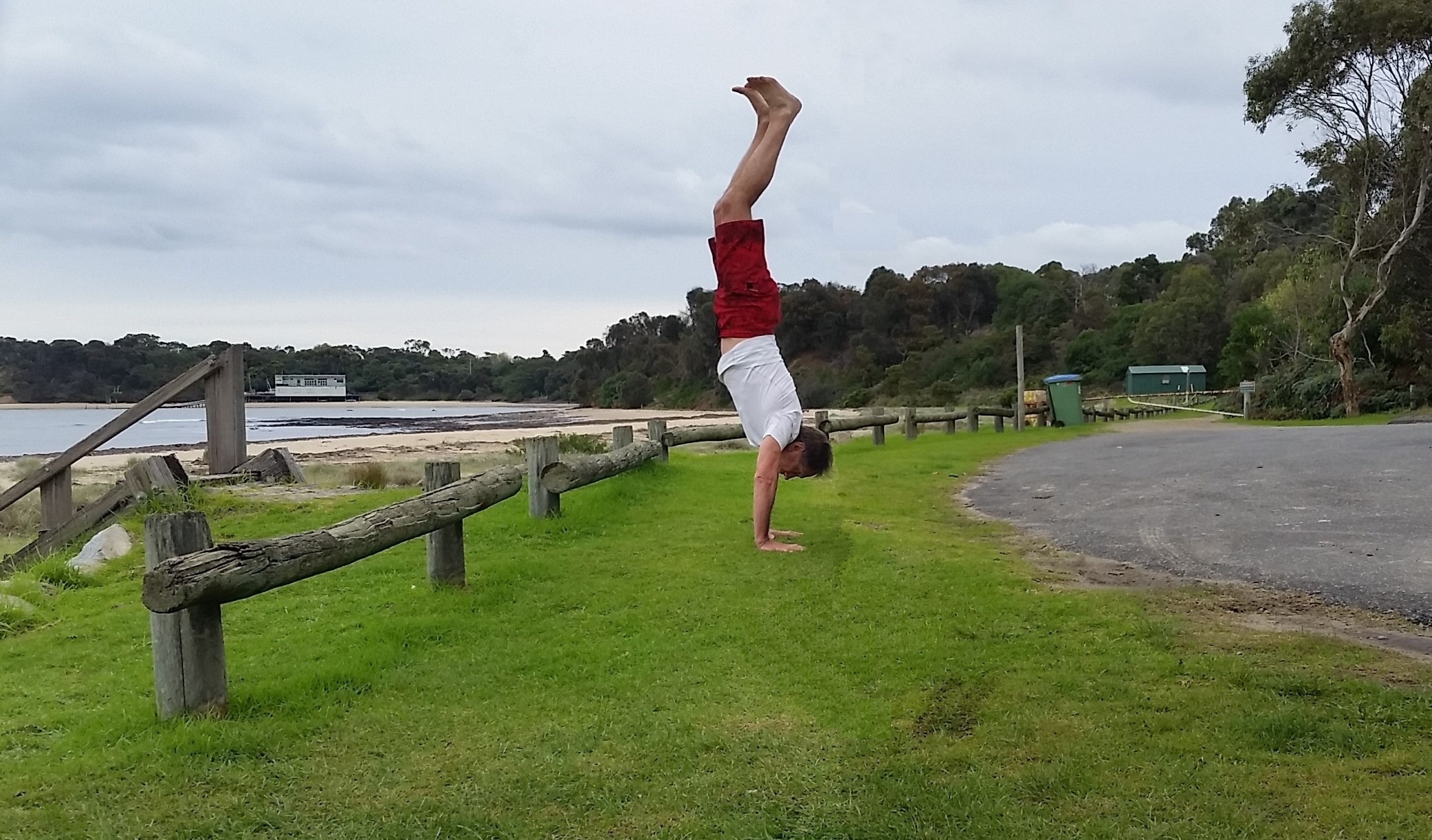 Profile photo of Robert P Molck