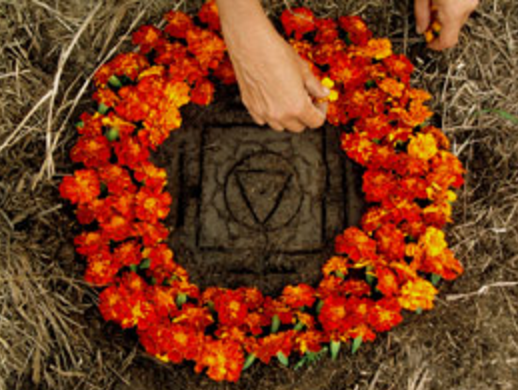 Profile photo of Adam Bornstein