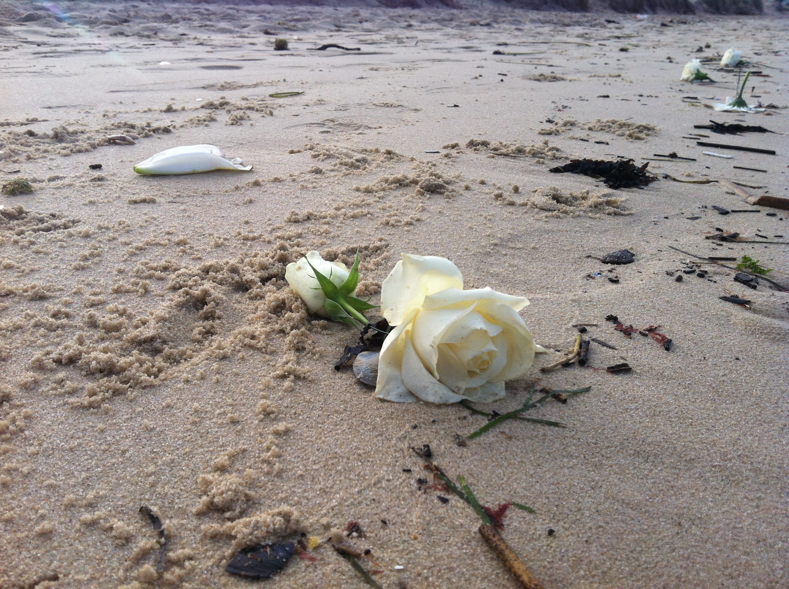 Profile photo of Slavica Praporski