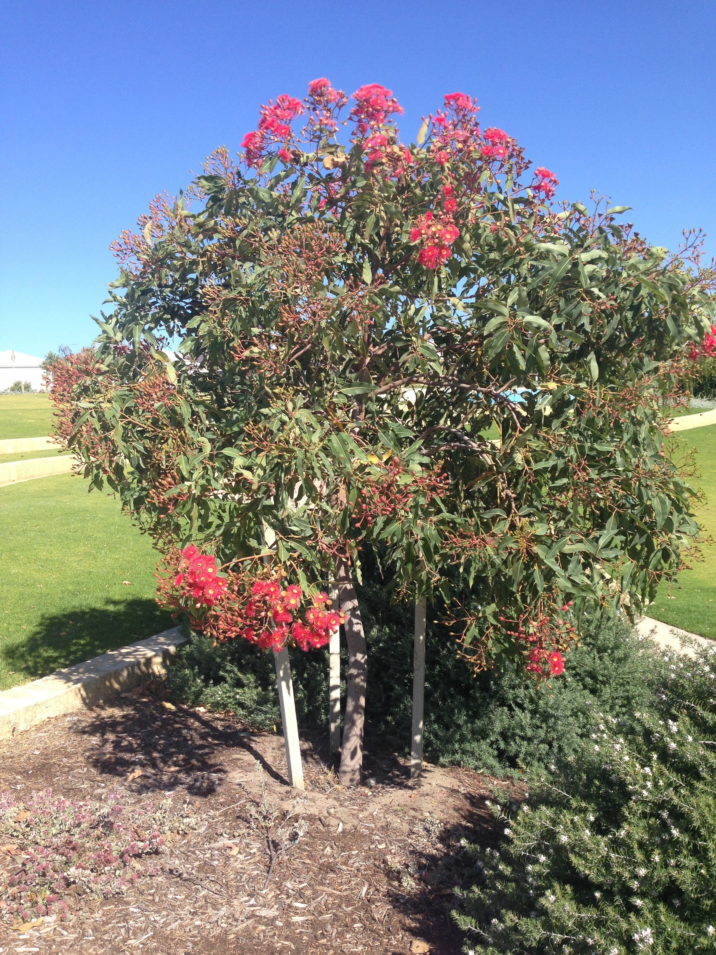 Profile photo of Margaret Giles